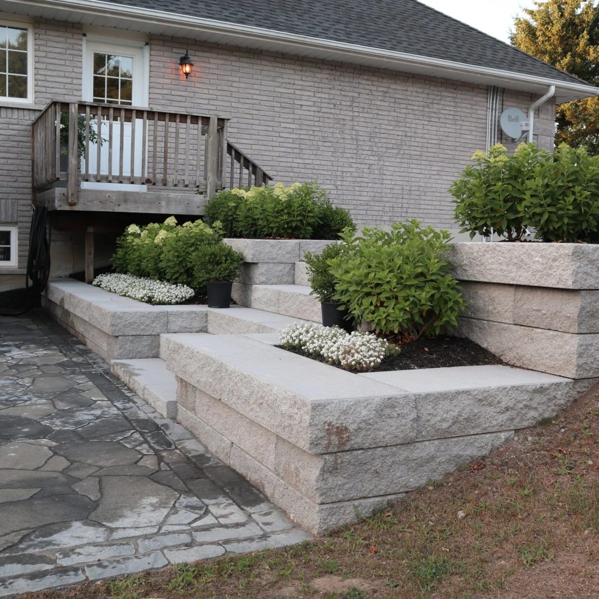 Two tiered retaining wall with embedded steps made with Proterra Split, two gardens containing a sheared hydrangea hedge and allysum groundcover in Woodstock Ontario